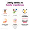 BrainMax Účinky horčíka na ľudský organizmus